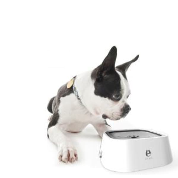 PET 1802  Pet Water Bowl